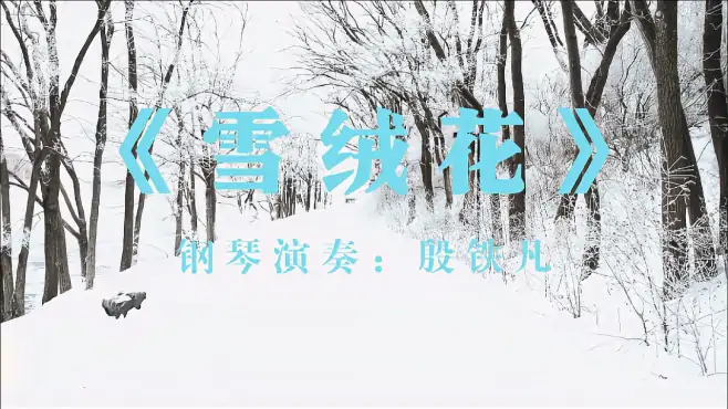 《雪绒花》钢琴演奏：殷铁凡